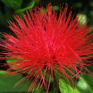 Meet your Posher, Makenna